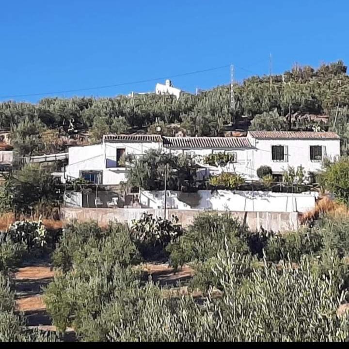 Cortijo El Cerro Lägenhet Alcaudete Exteriör bild